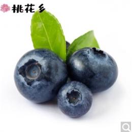 桃花乡 新鲜蓝莓 时令新鲜当季水果 约125g/盒 新鲜水果 精选果2盒