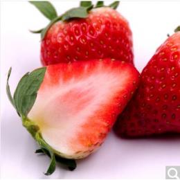 红颜玖玖草莓 15-20颗 约350g 新鲜水果