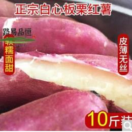 沙地白心板栗红薯5/ 10斤新鲜地瓜红蜜薯批发农家自产现挖现发 9.5-10