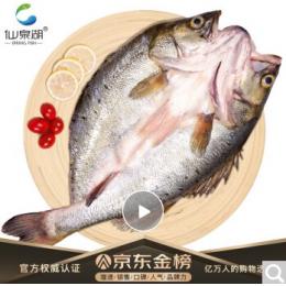 仙泉湖 珠海特产三去白蕉海鲈鱼净膛后500~600gCNAS认证烧烤食材海鲜年货