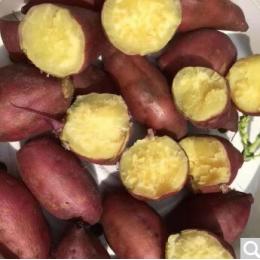 海南澄迈桥头地瓜 沙地桥头富硒地瓜新鲜红薯农家桥沙板栗薯5斤 5斤中小果（25-30个）