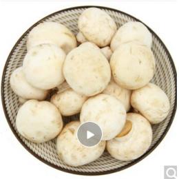 口蘑 新鲜蘑菇 菌菇 约400g 火锅食材 产地直供 新鲜蔬菜